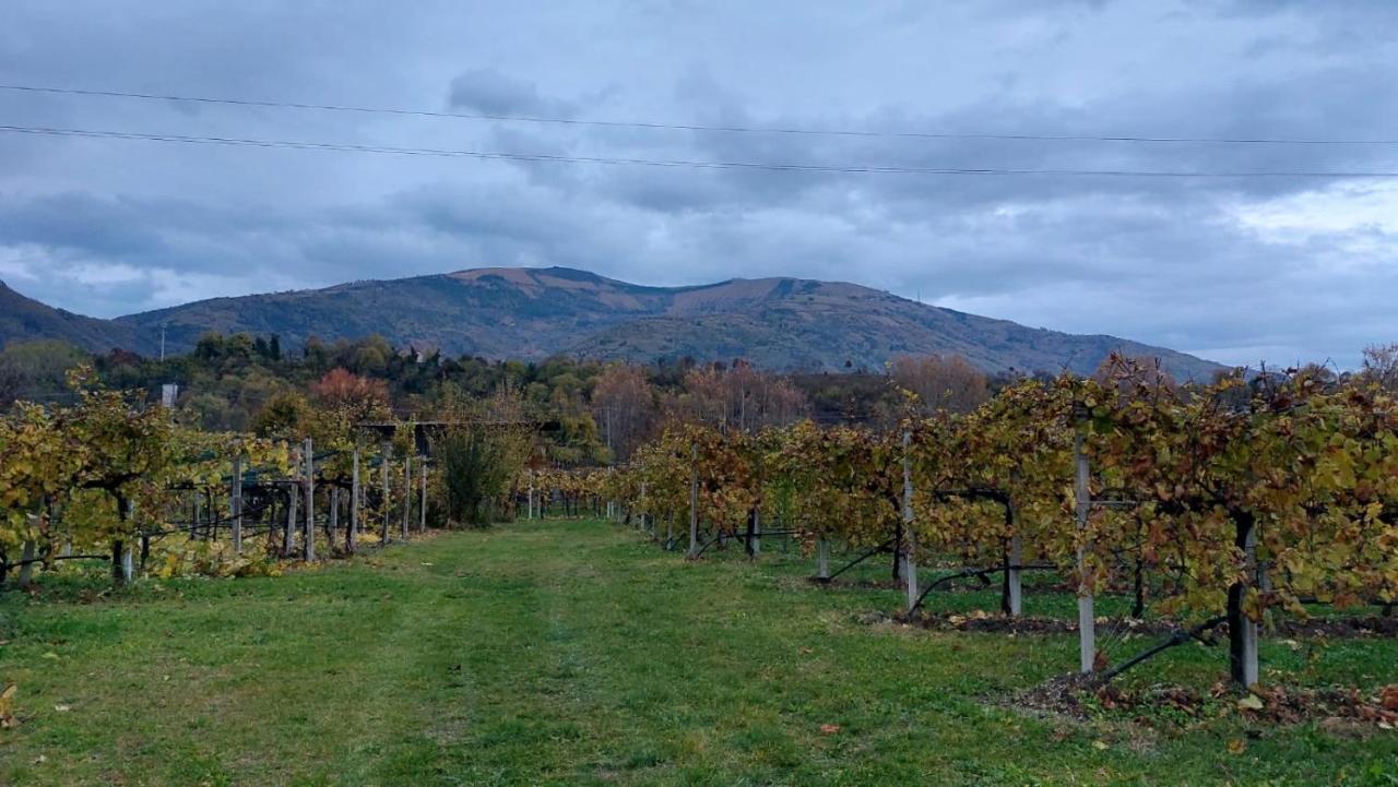 La Caneveta Al Piave ヴァルドッビアーデネ エクステリア 写真