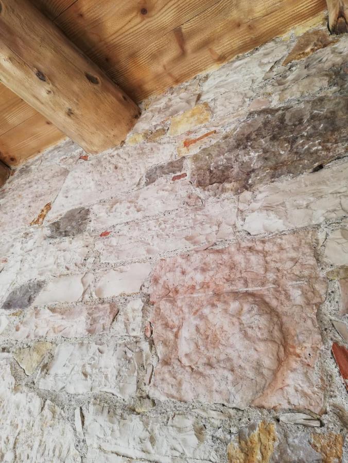 La Caneveta Al Piave ヴァルドッビアーデネ エクステリア 写真